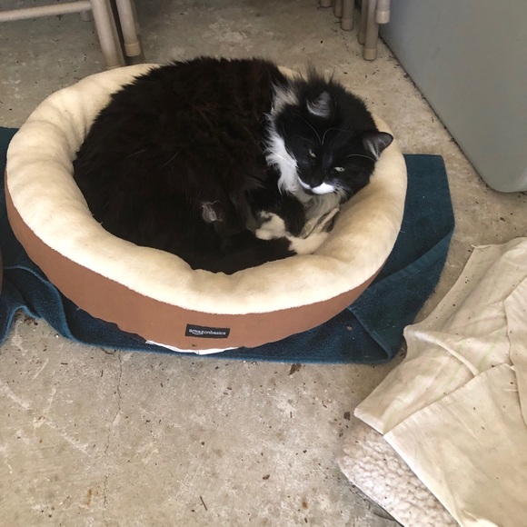 MEET YOUR POSHER - Picture 4 of 5